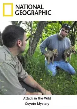 《野外攻击》：极限求生，挑战荒野绝境，揭秘生存法则