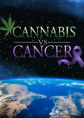 大麻与癌症：科学揭秘，治疗与争议并存