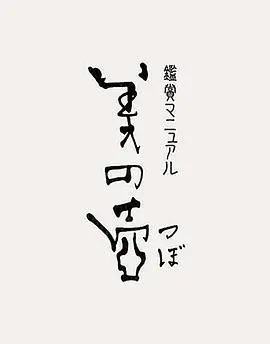 《美之壶》：慢下来，感受生活中的美！NHK纪录片深度解析