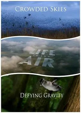 《空中生灵》：当AI拥有情感，数据偏见能否被跨越？一部触及灵魂的科幻惊悚力作